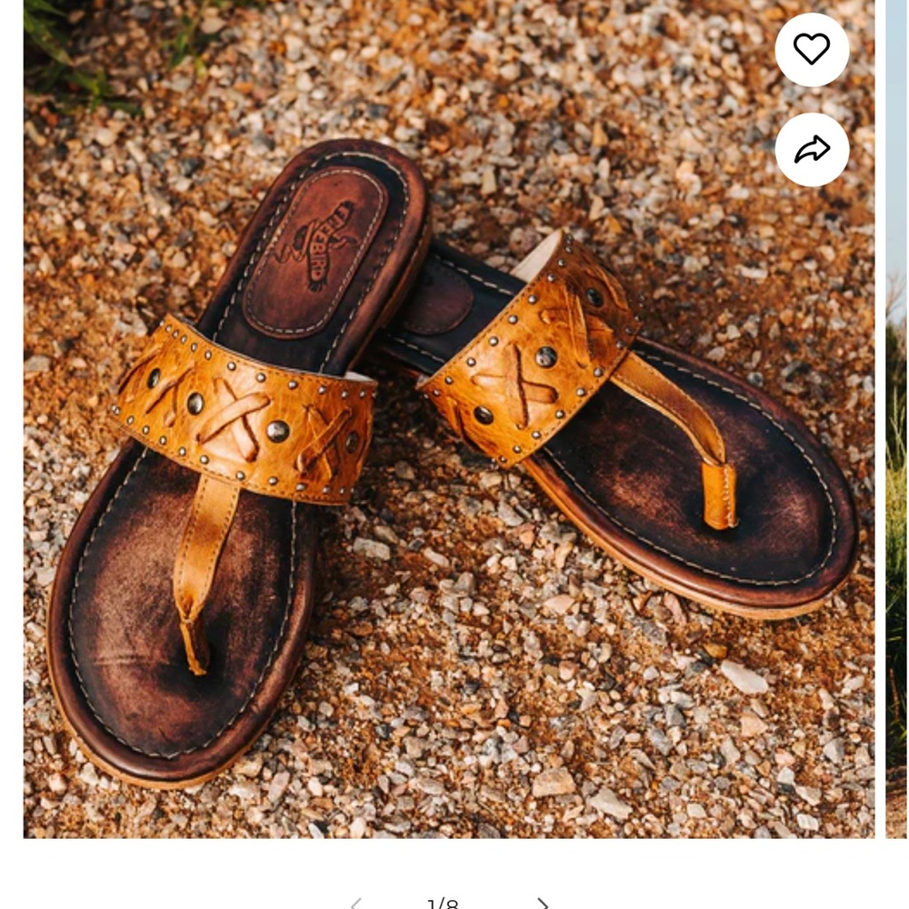 Shay size 9